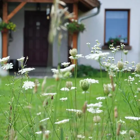 Domek Na Warmii Dom wakacyjny Olsztyn (Warmian-Masurian)