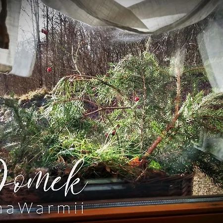 Prázdninový dům Domek Na Warmii *